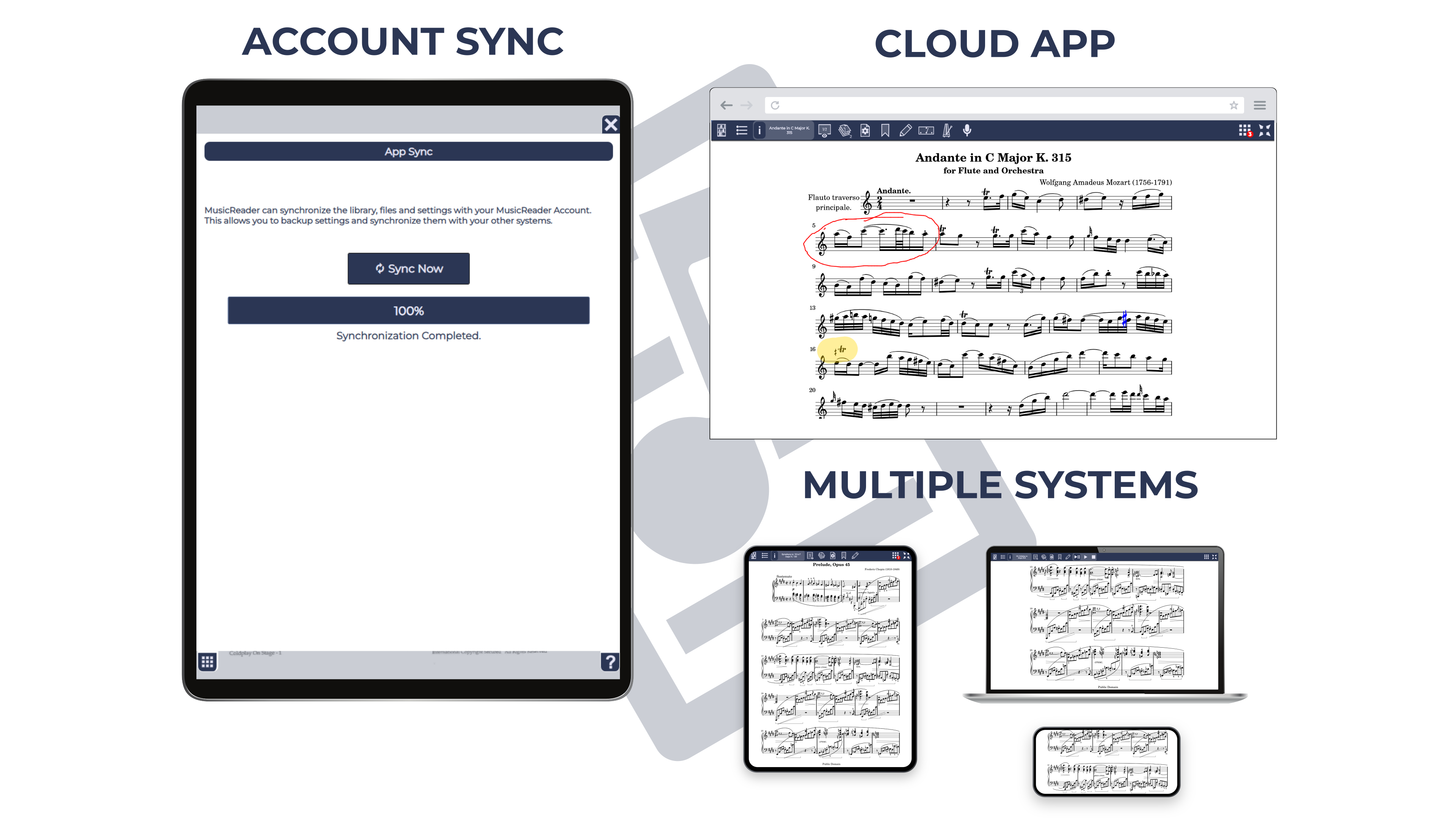 Account & Sync