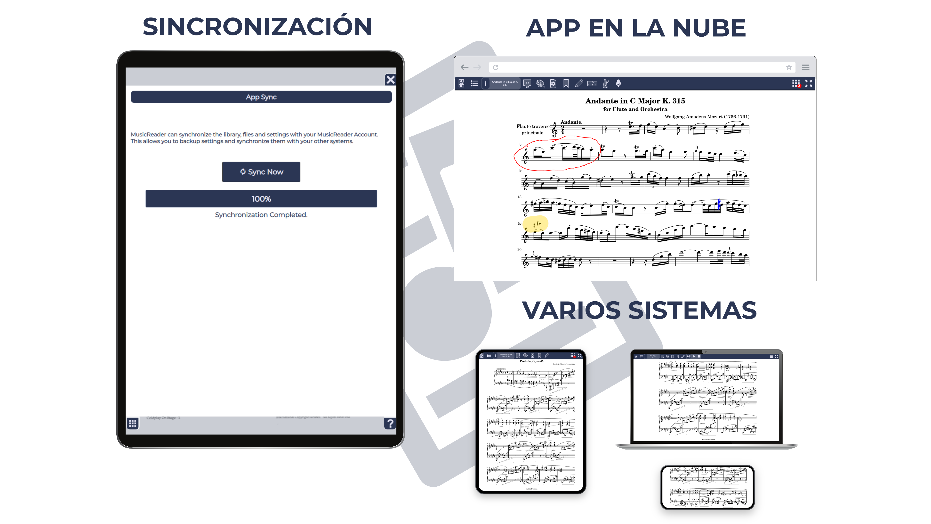 Account & Sync
