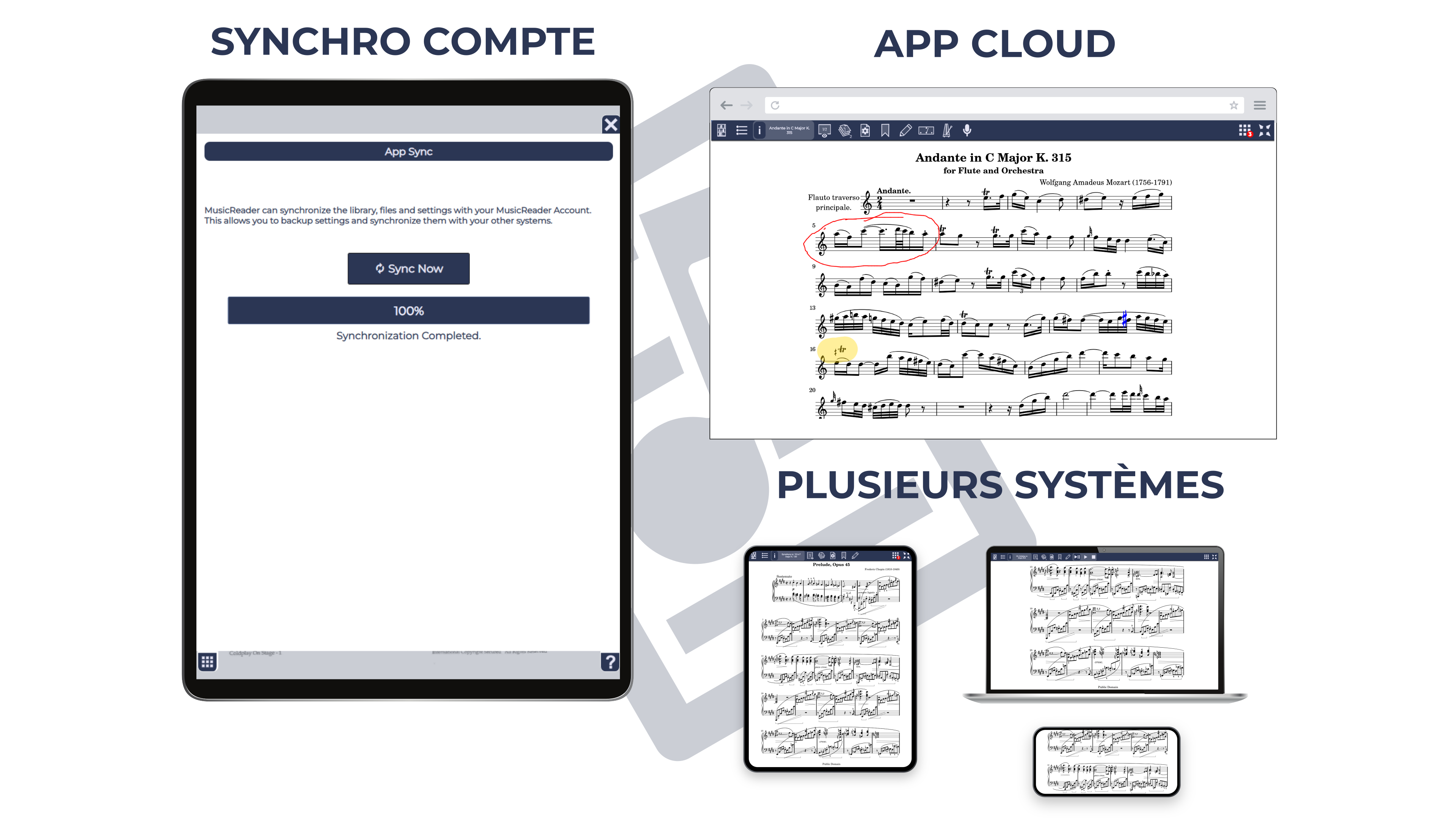 Account & Sync
