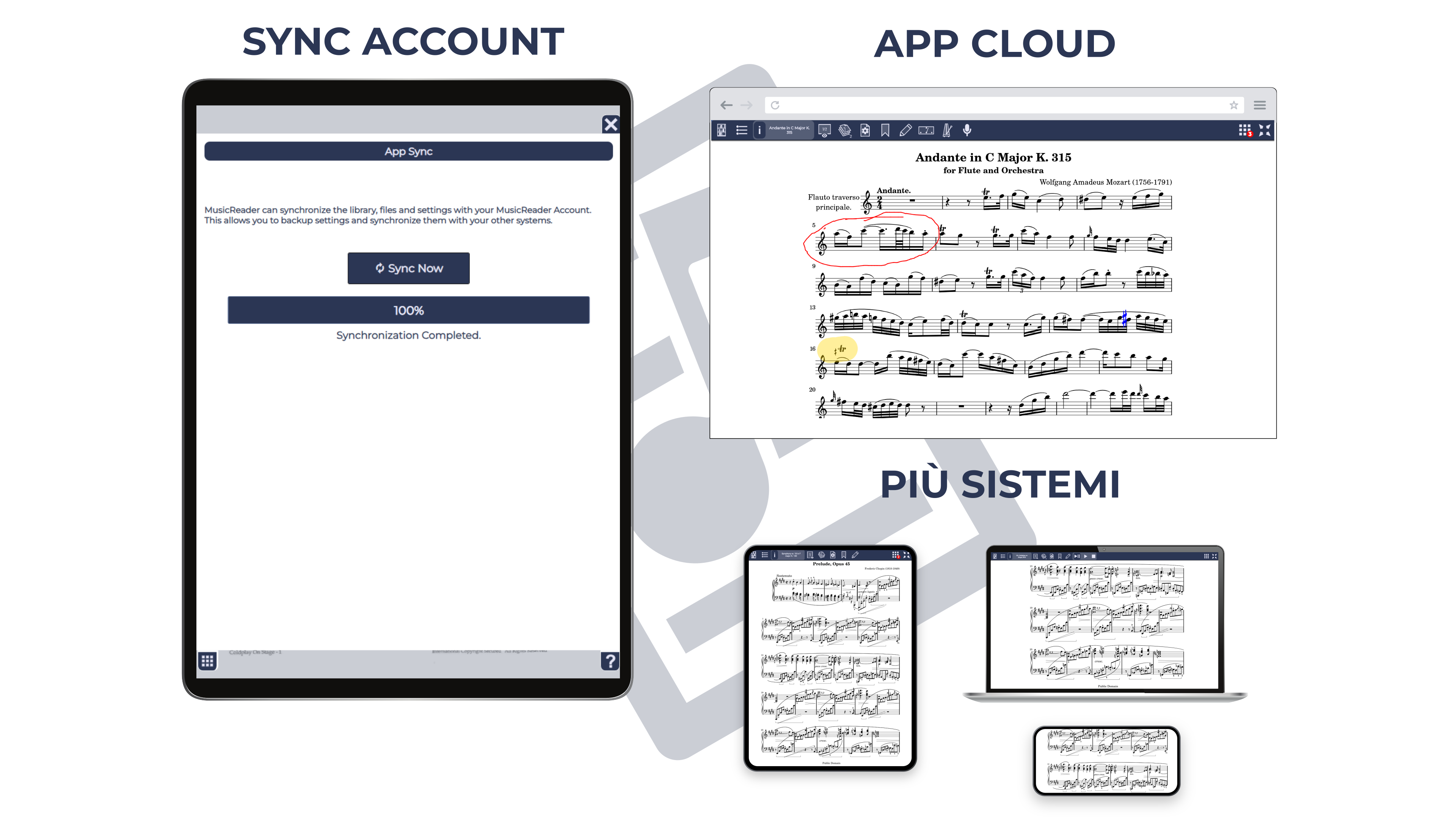 Account & Sync