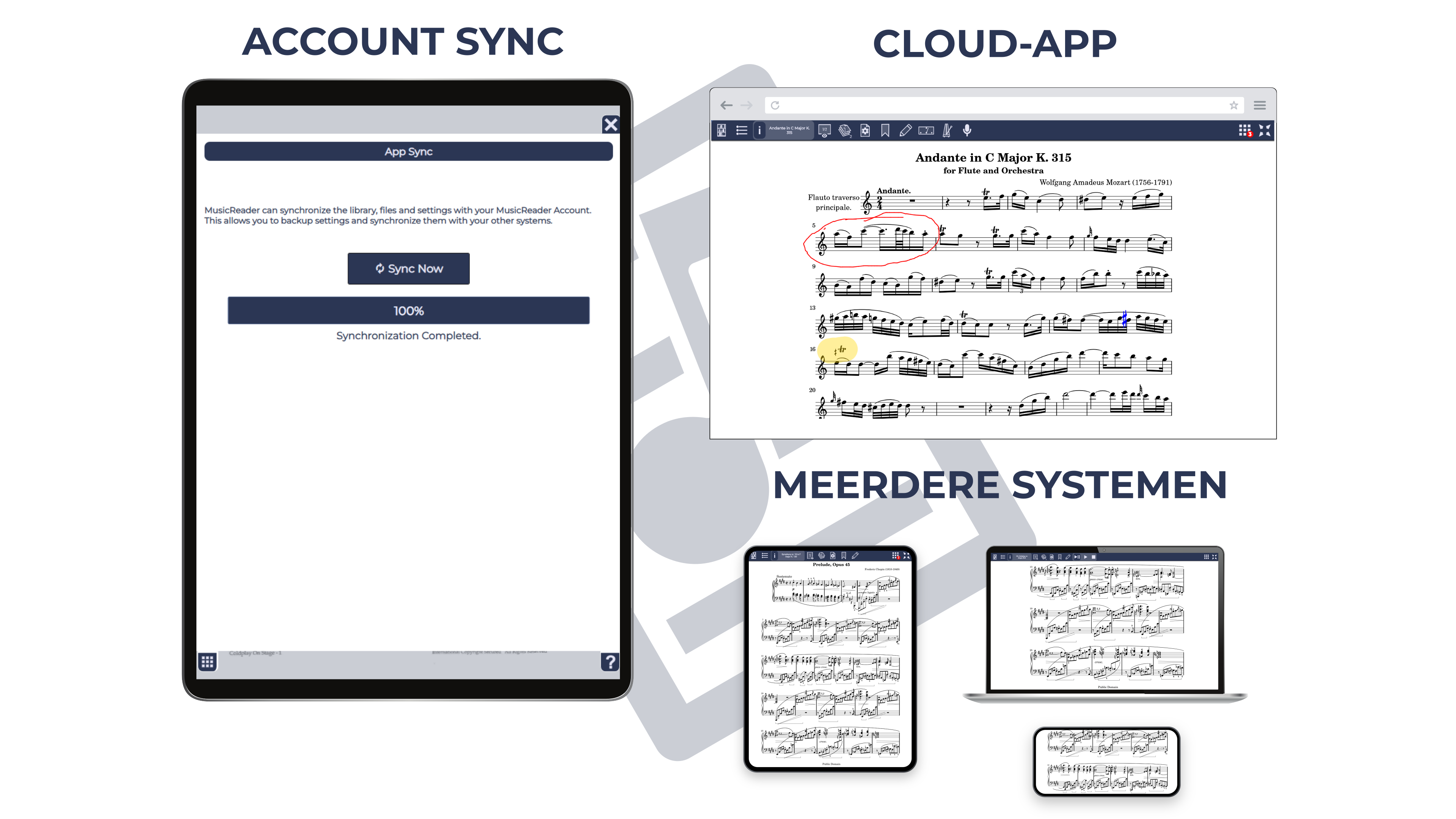 Account & Sync
